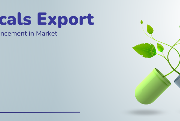 Nutraceuticals Export Market: Reasons for Growth and Enhancement